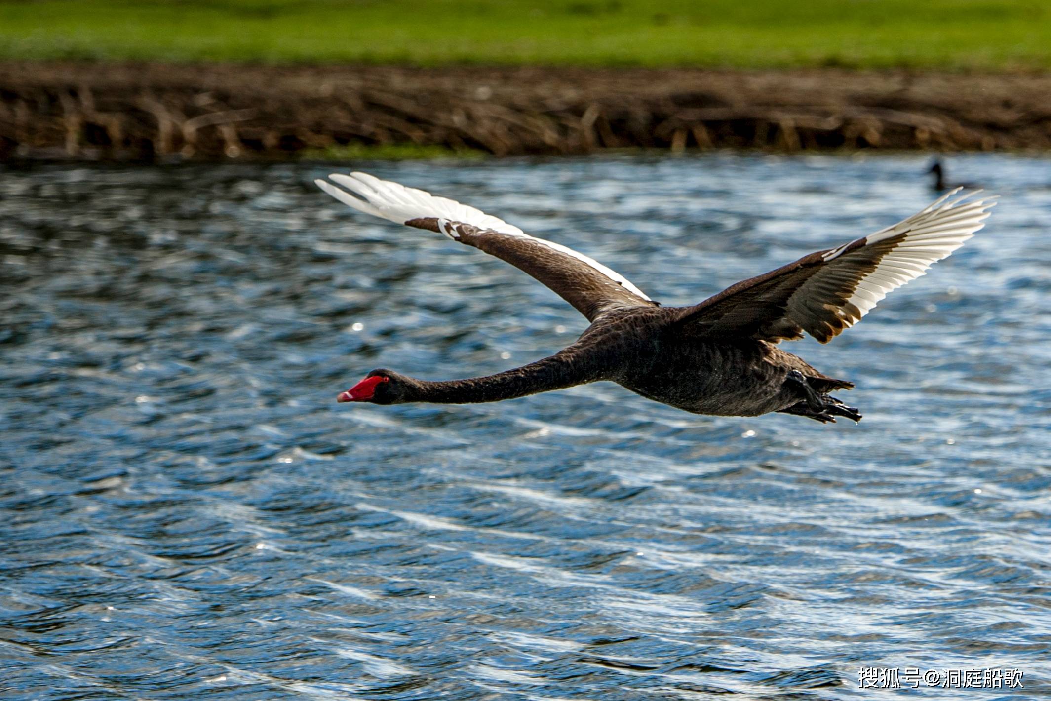 继续沿着河滨绿道向西步行,不久便来到了科莫码头.