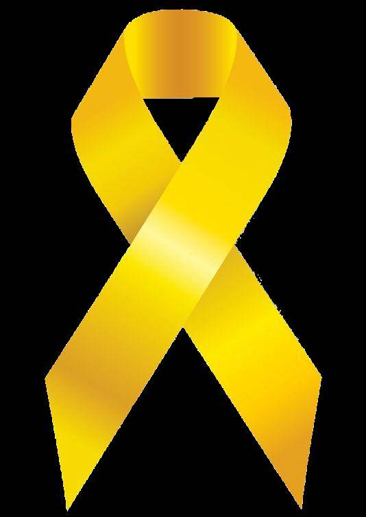 民盟白云总支与沙子哨监狱举行"黄丝带帮教"工作座谈会_意见_中心