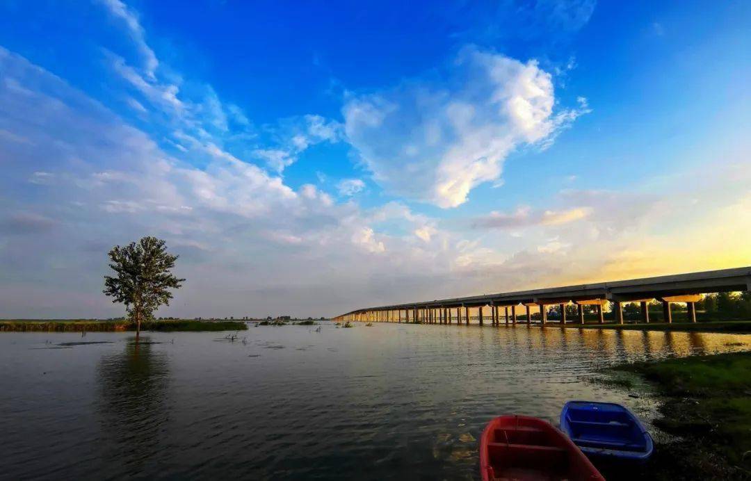 淮河风情百里画廊阜南段:风光无限,美景醉人!_王家坝_文旅_文化
