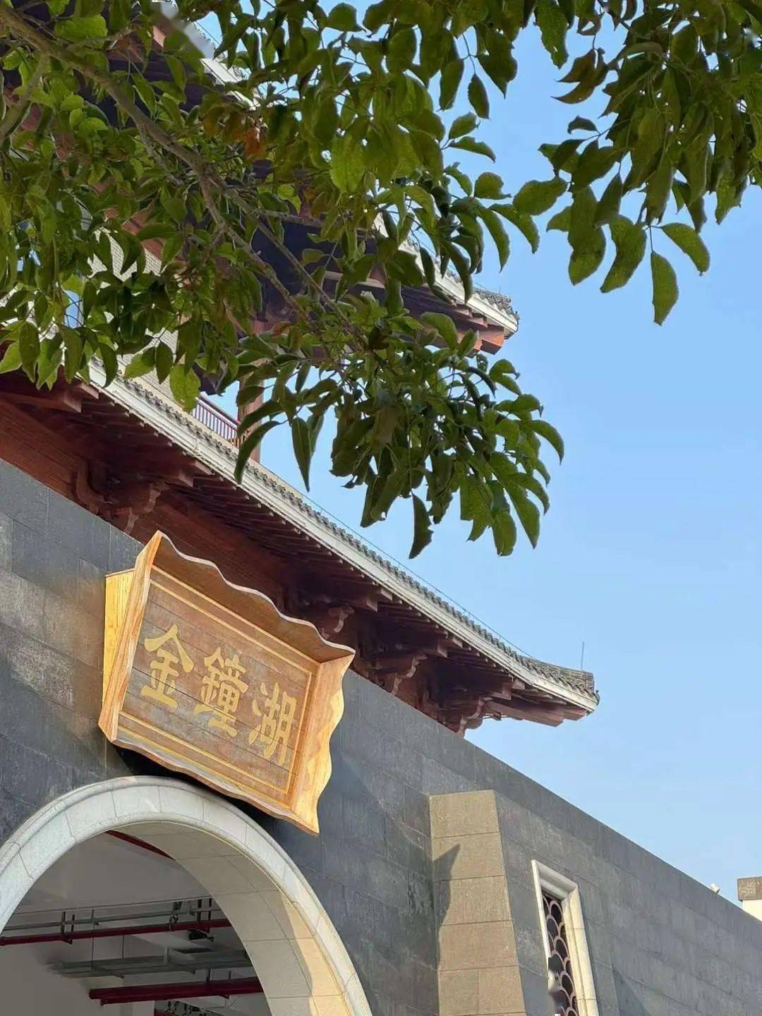 青山绿水美展去公园里追光吧
