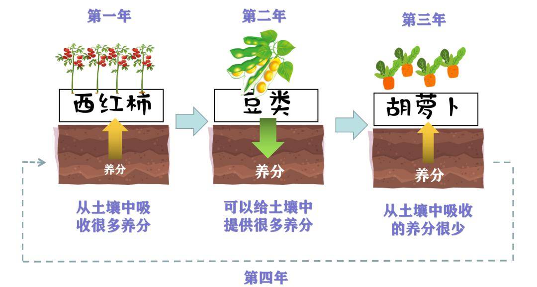 【農業地理】詳解