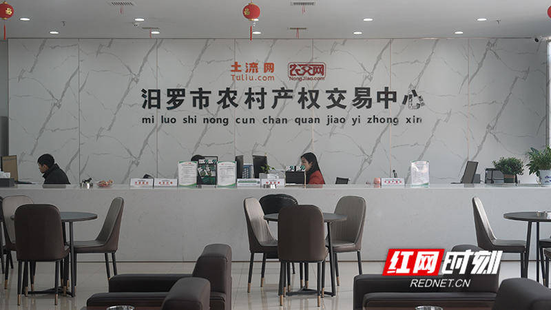 乡村“沉睡”资产生金计丨岳阳汨罗市：“小田改大田”，让土地更有价值