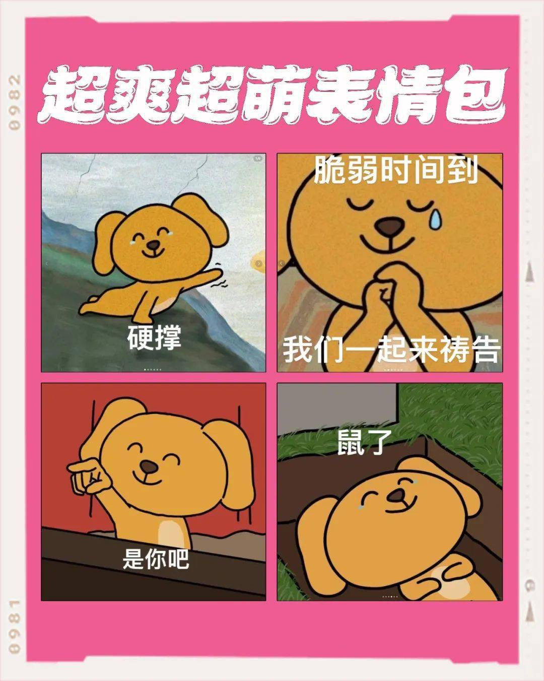 "美少女阿禾"后台回复"小狗"即可获得超萌表情包阿禾亲笔火遍全网的10