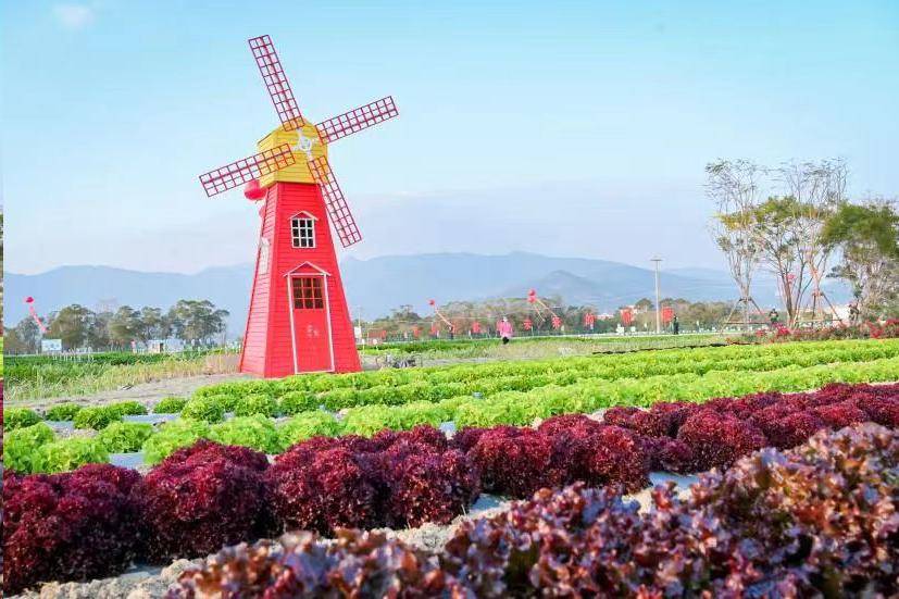 诚毅科技探索中心,天语舟气象科技园,同安影视城,三五丘七彩田园,翔安