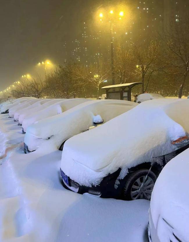 今日北京的雪景图片