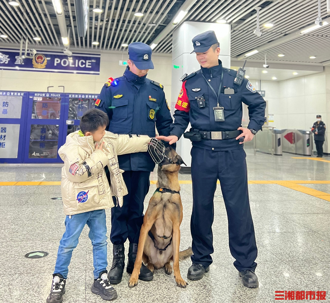 长沙地铁"公务汪"成网红,忙起来也要"加班"_警犬_巡逻_时段