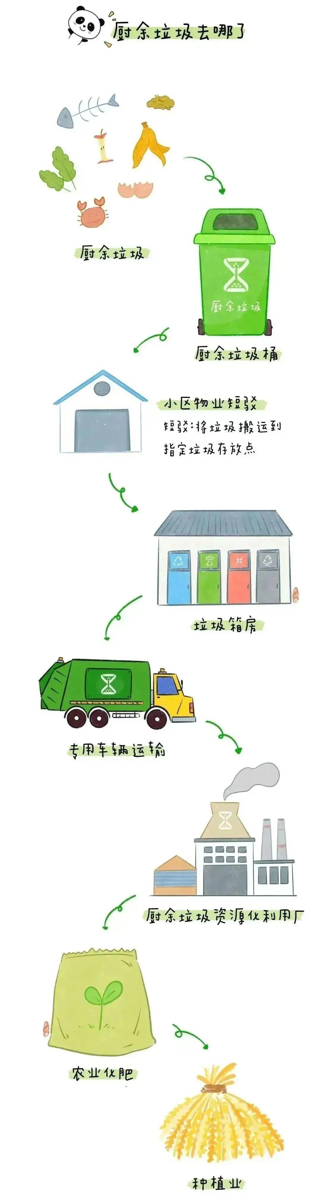 垃圾分类小知识:分类一小步,文明一大步