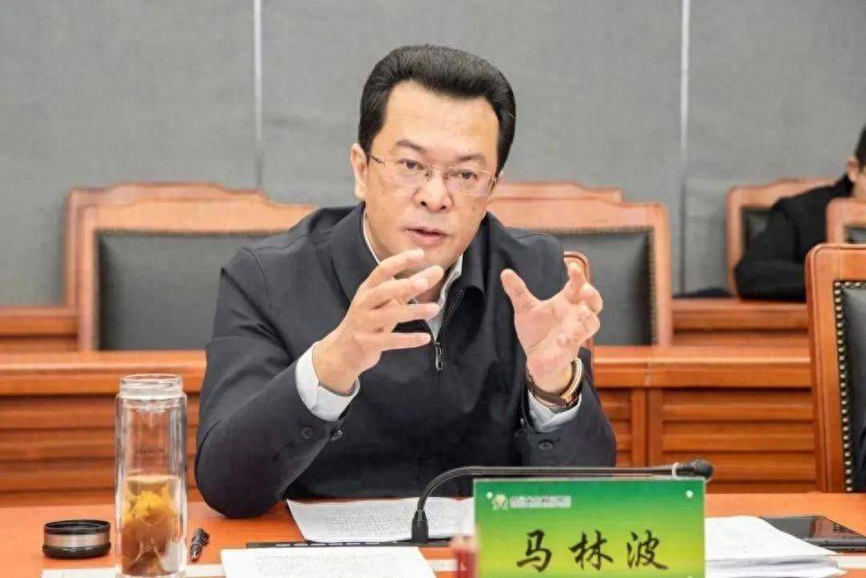 靠金融吃金融,热衷“圈子文化”,马林波被公诉_贵州省_严重_违法