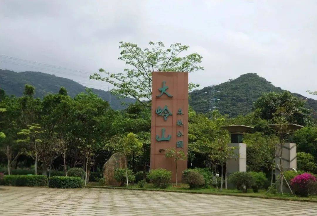 69 登高祈福"东莞小故宫大岭山观音寺,东莞徐福记特卖场一天_佬盒
