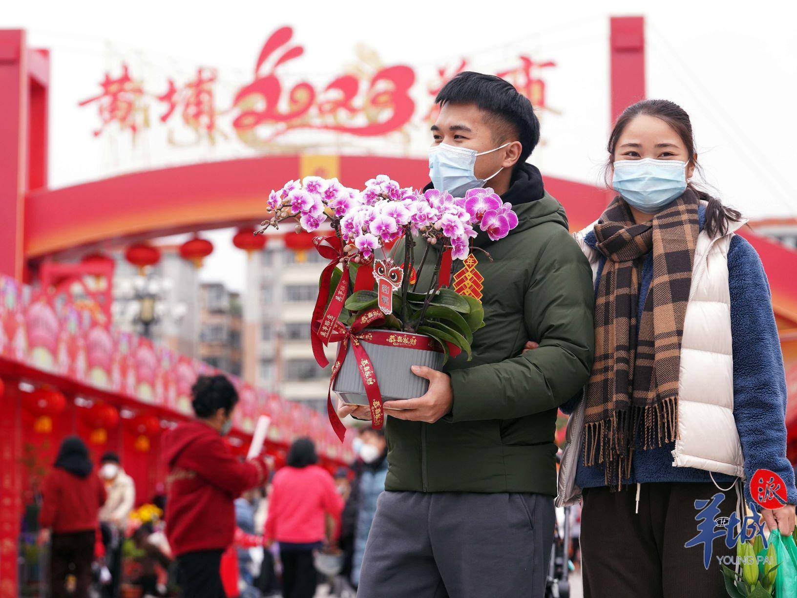 2024年广州11区迎春花市安排来了_时间_路段_地点