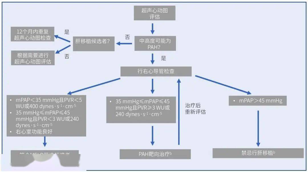 門靜脈高壓常見併發症——門脈性肺動脈高壓 | 臨床必備_診斷_治療