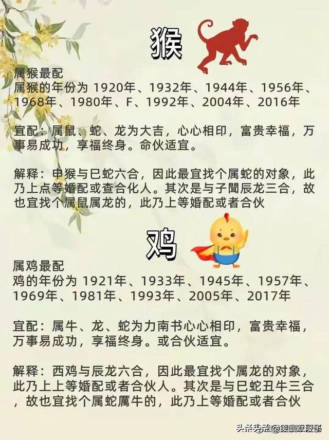 92年属猴的属相婚配表图片