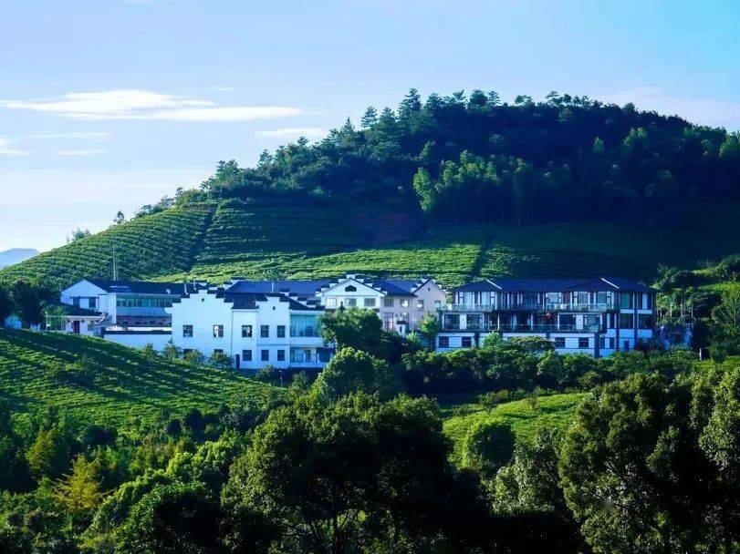 宜兴11家茶企入选省生态茶园_江苏省_发展_企业