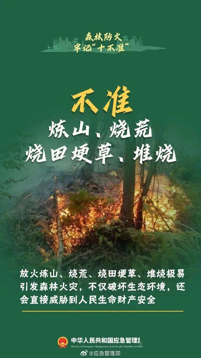 森林防火知識請記牢_火災_李王強_小冬