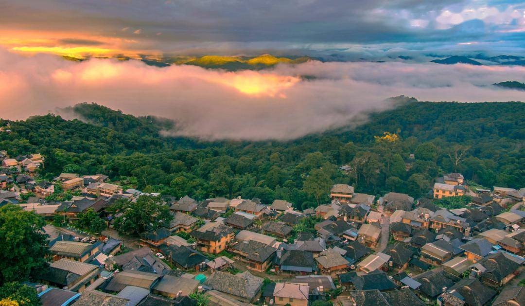 "为什么是景迈山"论坛|北京站,我们来了!_普洱市_茶林_活动