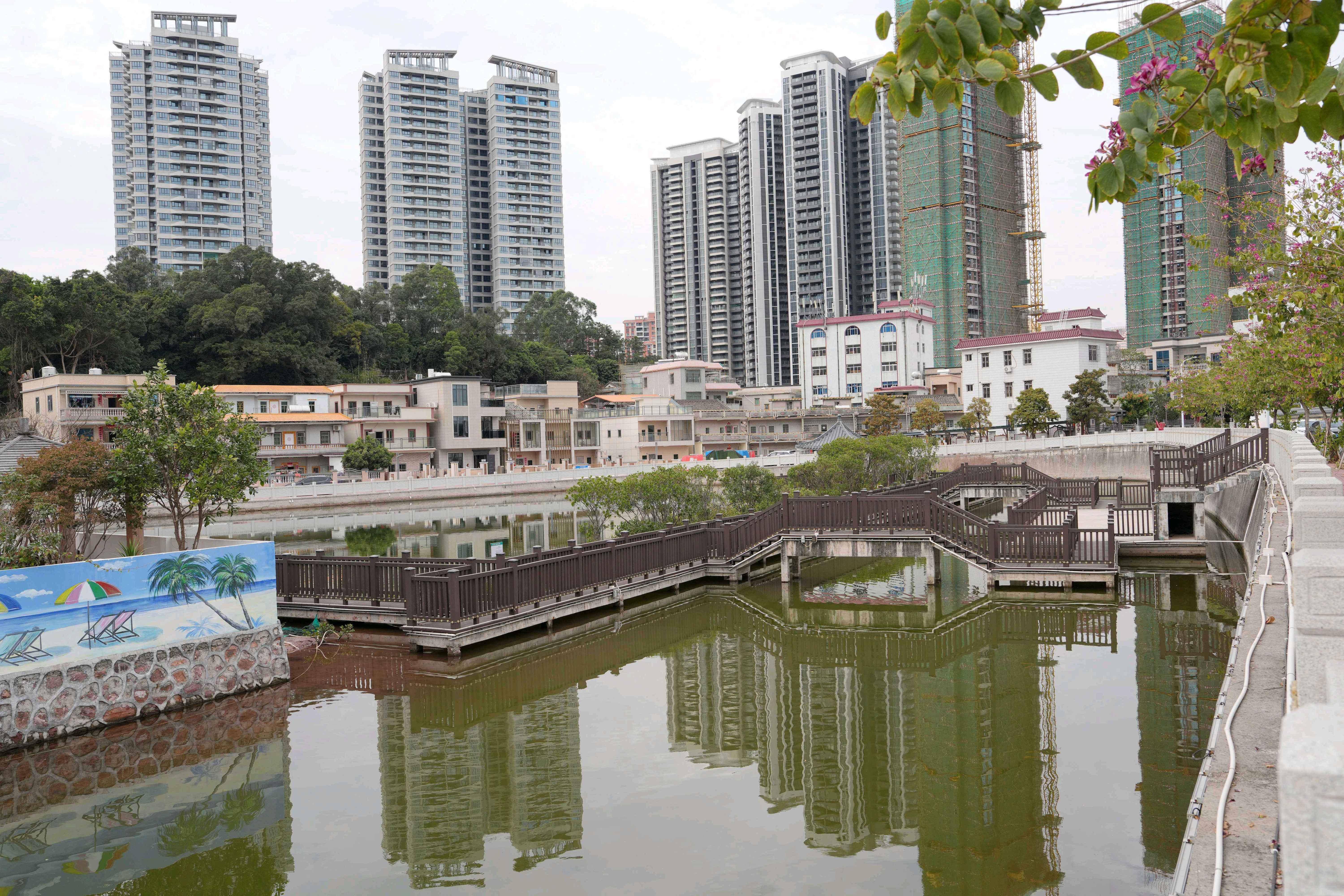 大亚湾衙前绿道图片