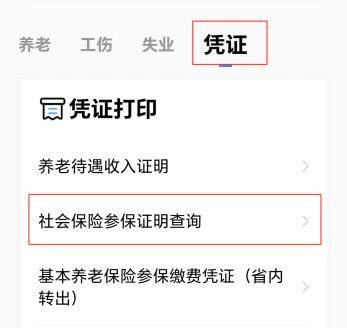 想知道自己社保累計參加了多長時間?收好攻略→_繳費_生育_醫保