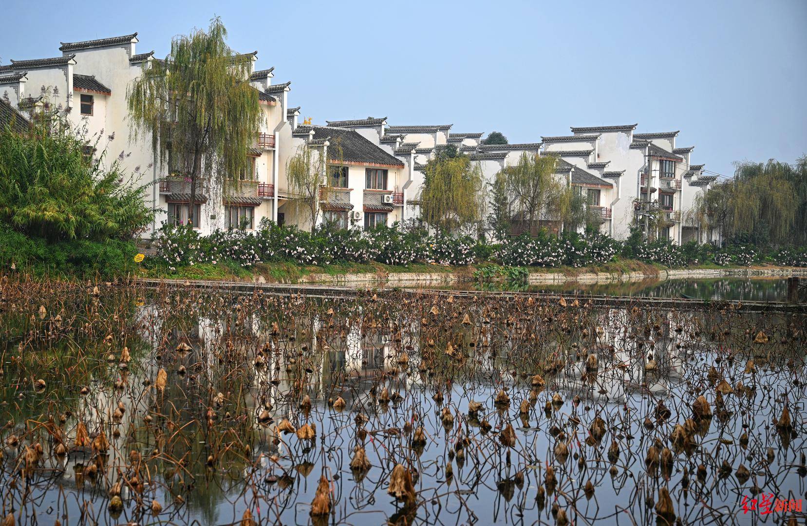 一座成都乡村的"共创"实验:新村民从"一群人"到"一群一群人"