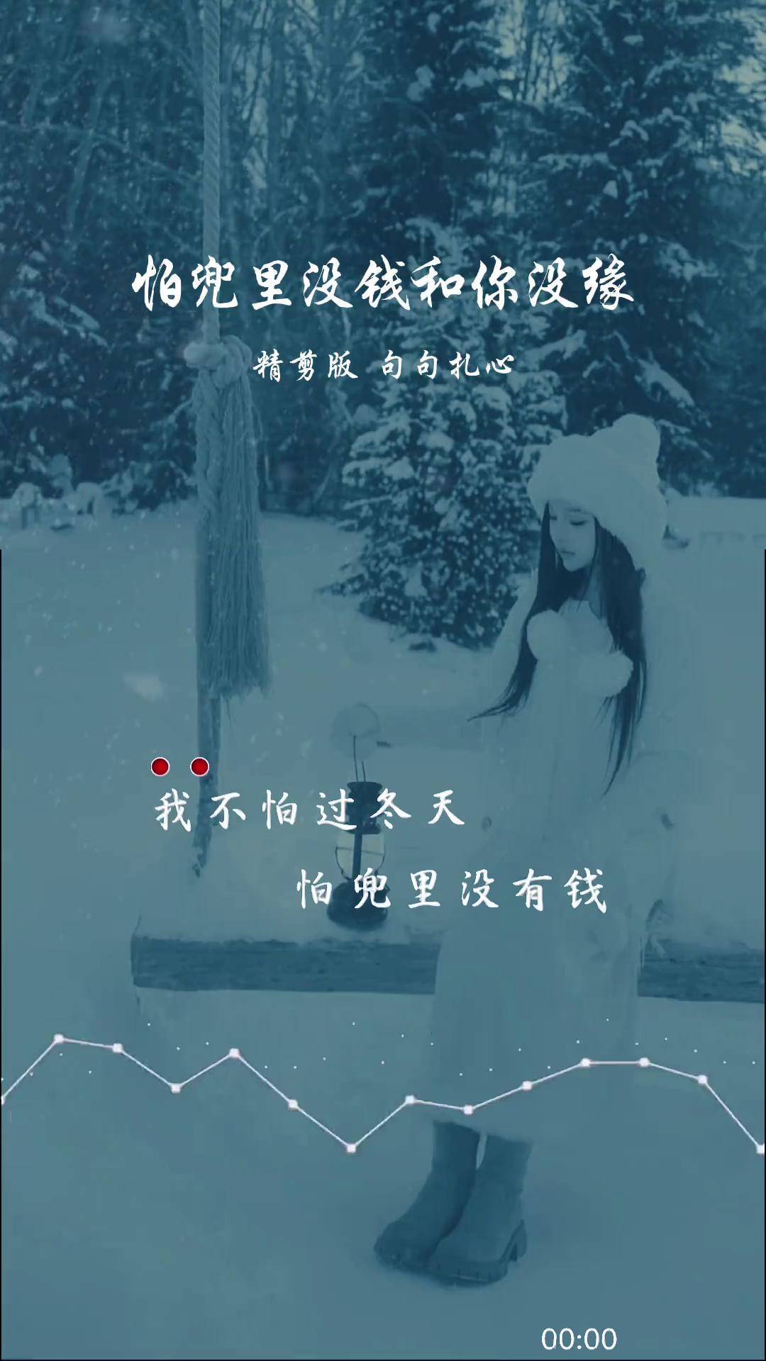 我不怕过冬天不怕一个人过年不怕和你没缘就怕兜里没有钱这个冬天有点