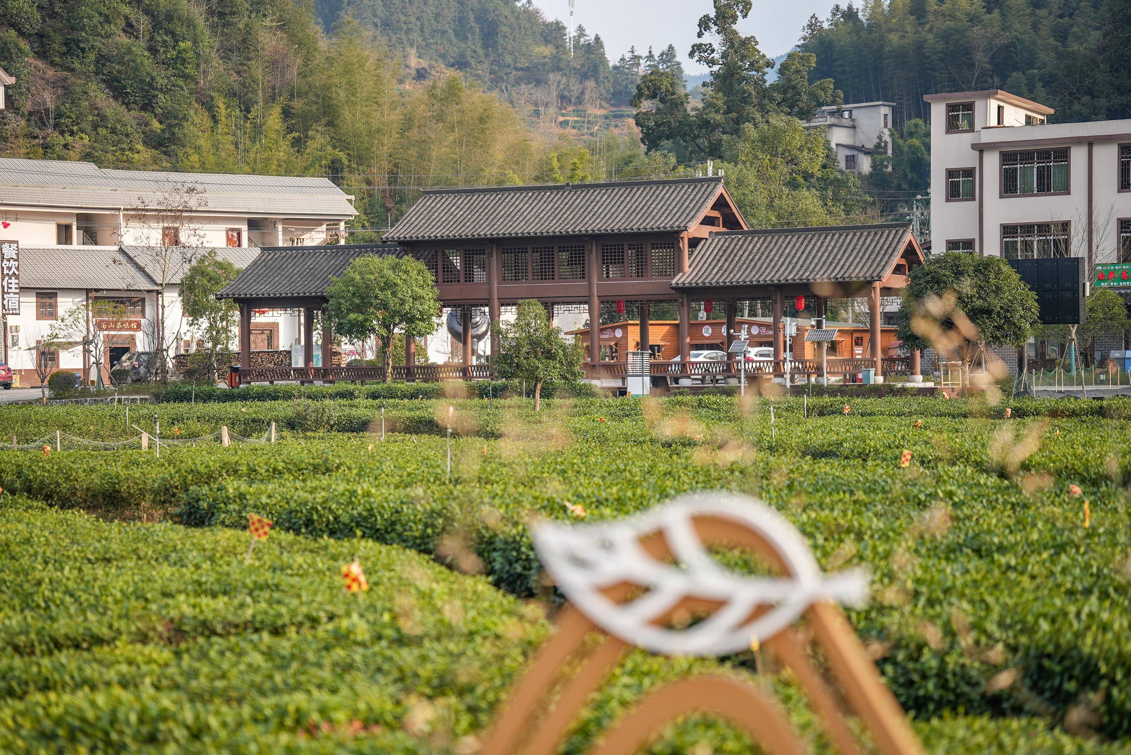 遂川汤湖温泉夫妻间图片