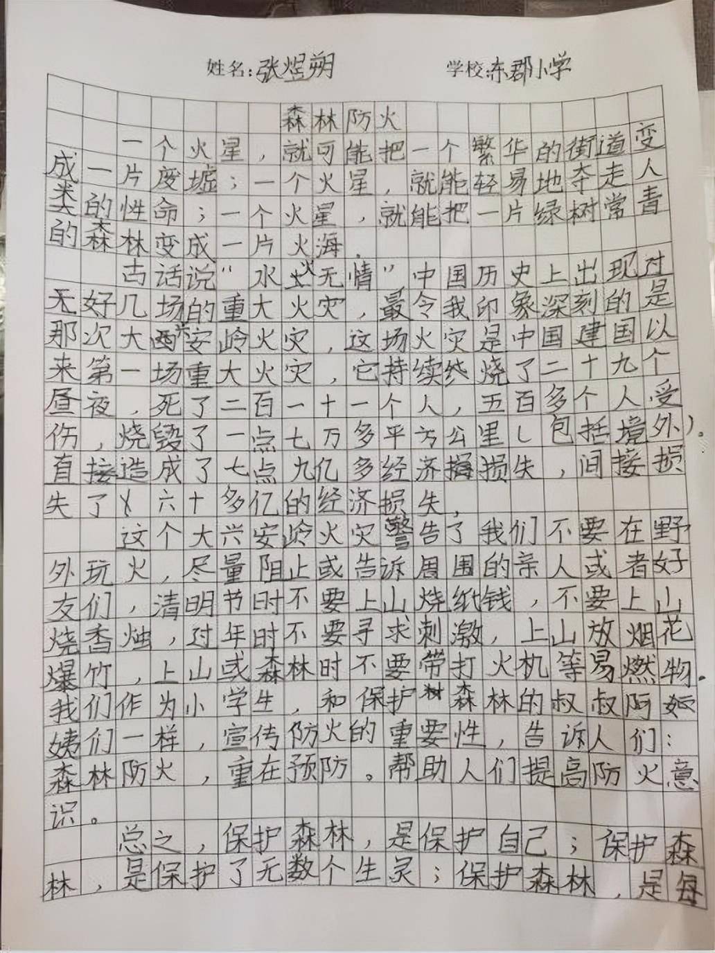 森林防火作文400字小报图片