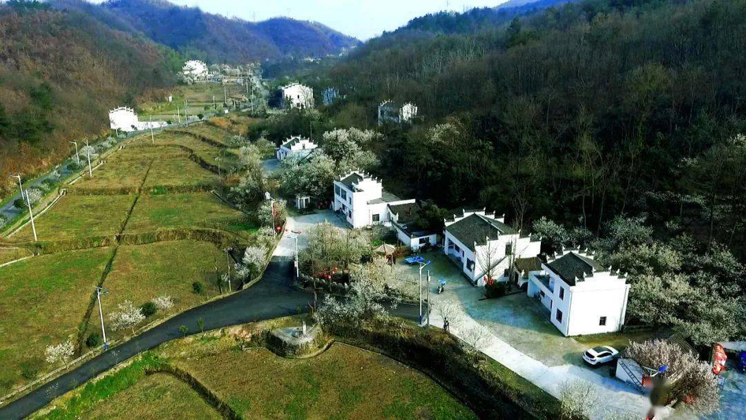 盛康镇:香炉石→千亩油菜花海→回龙观旧址→香茶园→稻虾基地→县委