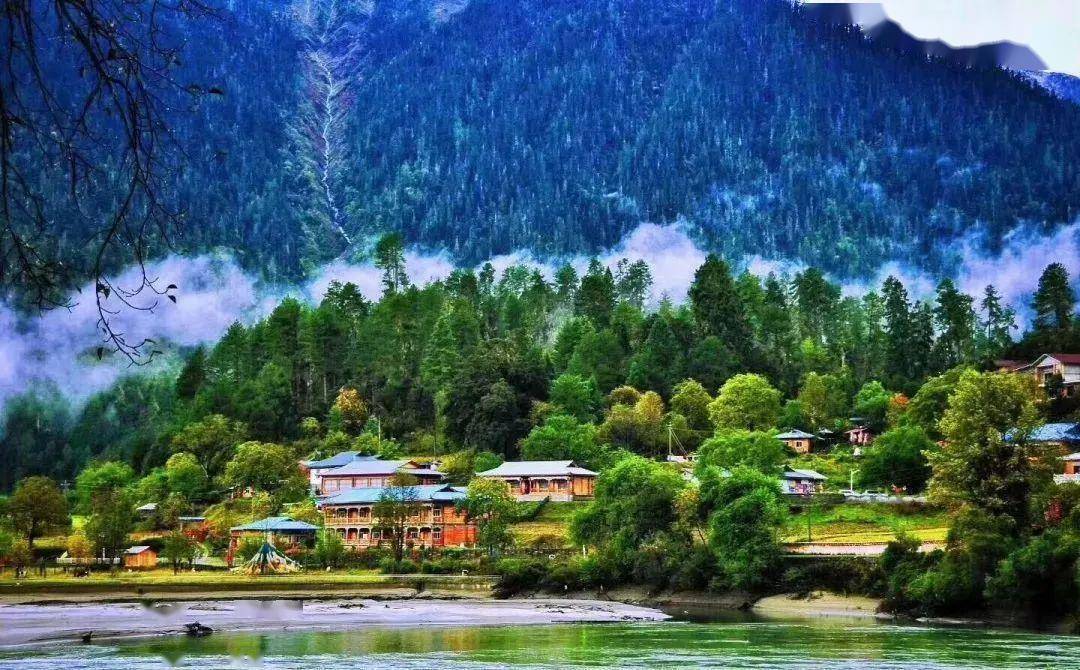 中国最美十大森林,个个都是仙境