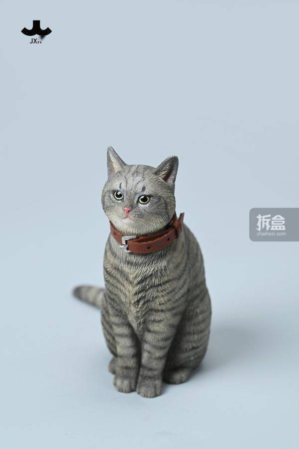 jxk 1/6 中华田园猫5.0 创意可爱 仿真宠物猫咪手办摆件_出货_官方_项