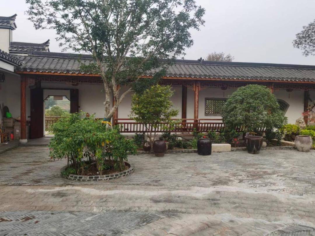 美麗庭院 | 廬江縣:這份