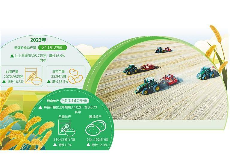 探寻新疆粮食丰产密码_小麦_农田_生产