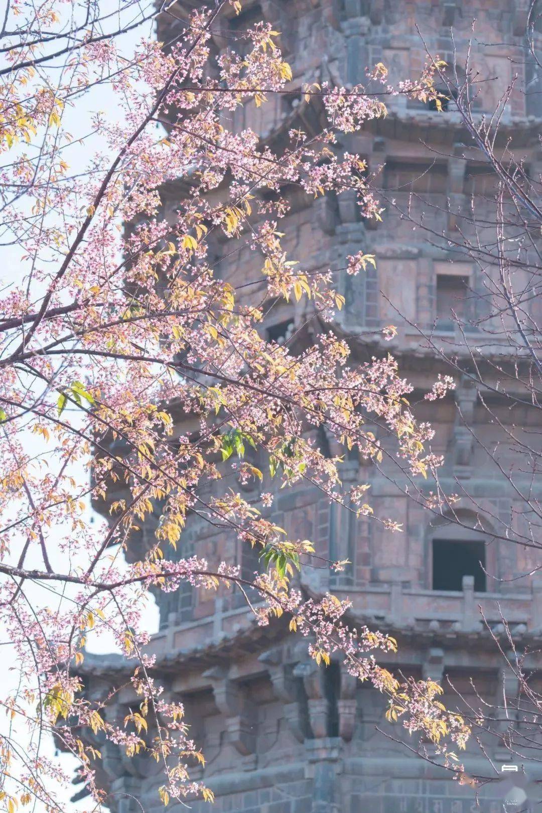 沿著西街向東走到巷尾,右手邊就是開元寺.