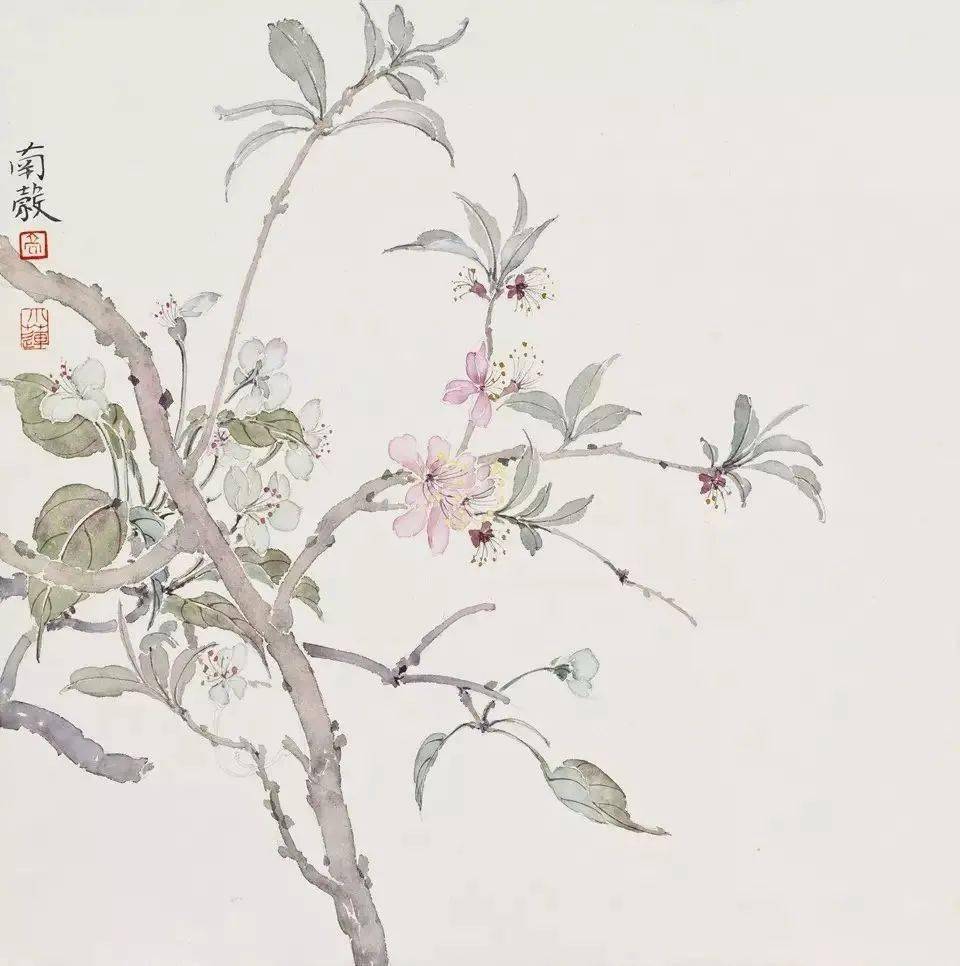 【国画天地】高强的没骨凡花,清简不喧哗_作品_花鸟画_山西