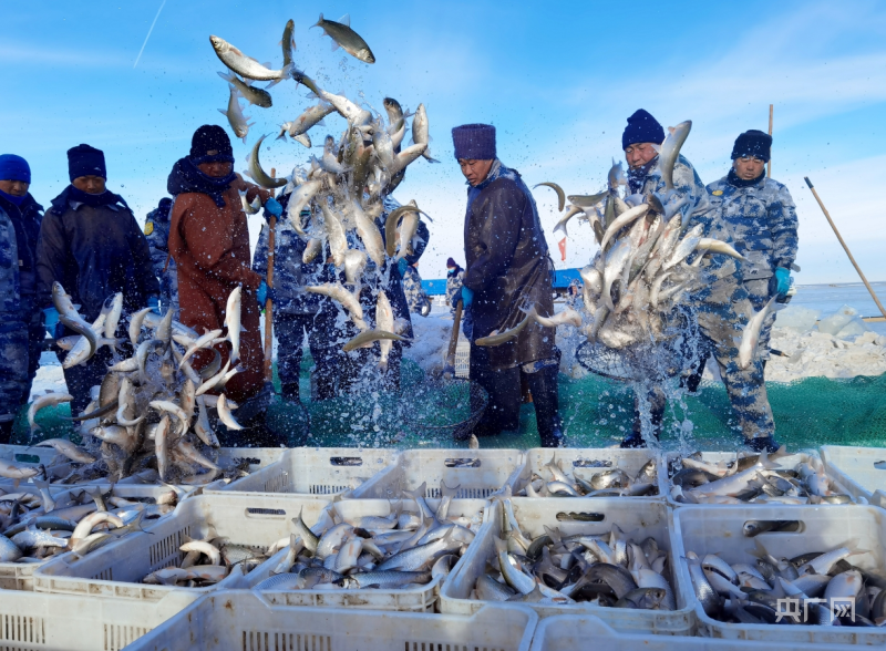 内蒙古达里湖冬捕旅游季启幕_克什克腾旗_冰雪_赤峰