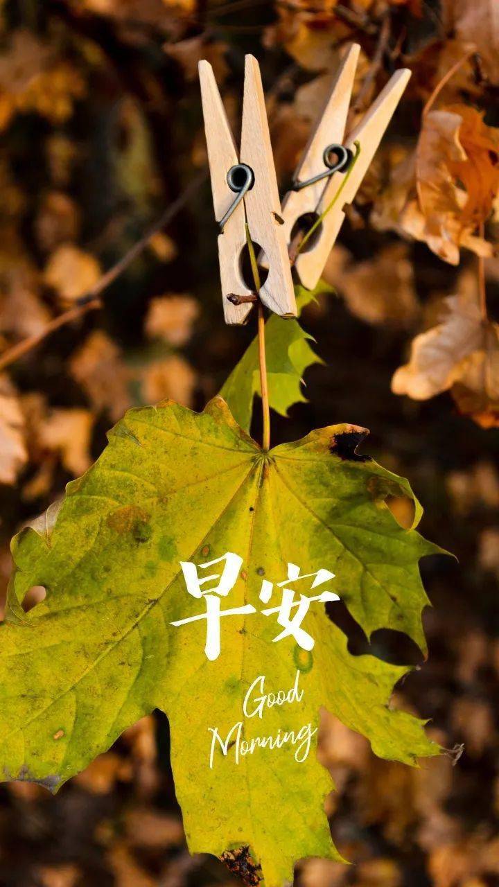 美好的一周开始了:好好做事,所有人都是只看结果的_文案_励志_未来