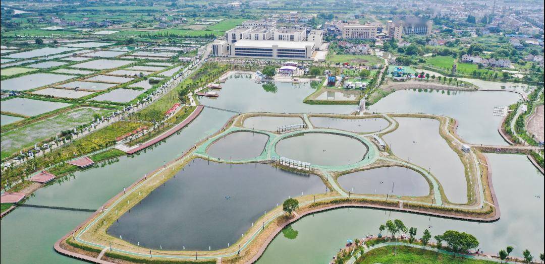 南浔:让水晶晶的河湖都流淌着"幸福味"_发展_乐园_居民