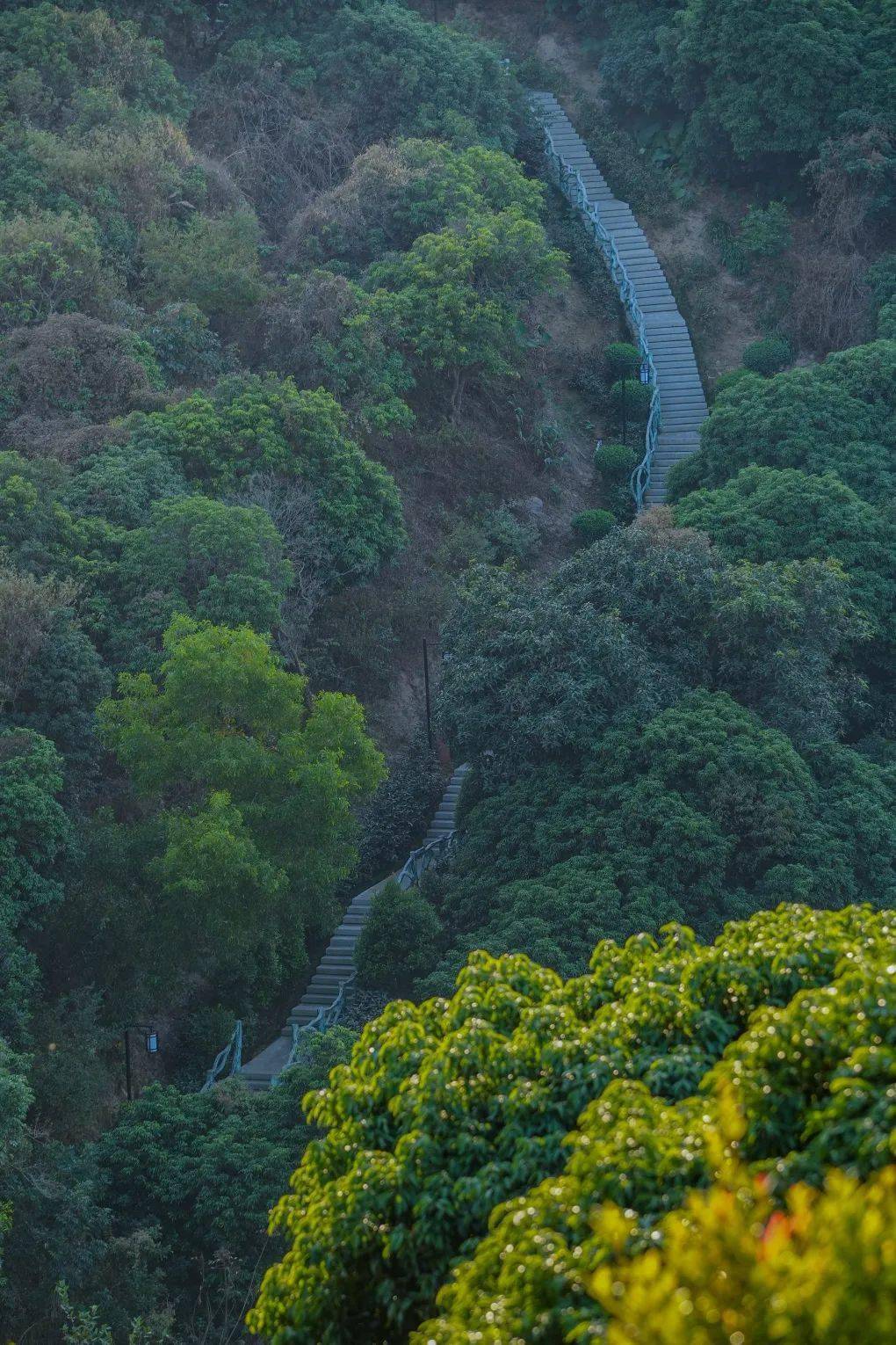 宝安版"绿野仙踪",地址就在→_龙山_公园_足球