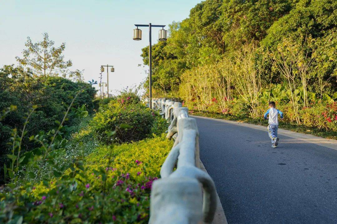 宝安版"绿野仙踪",地址就在→_龙山_公园_足球