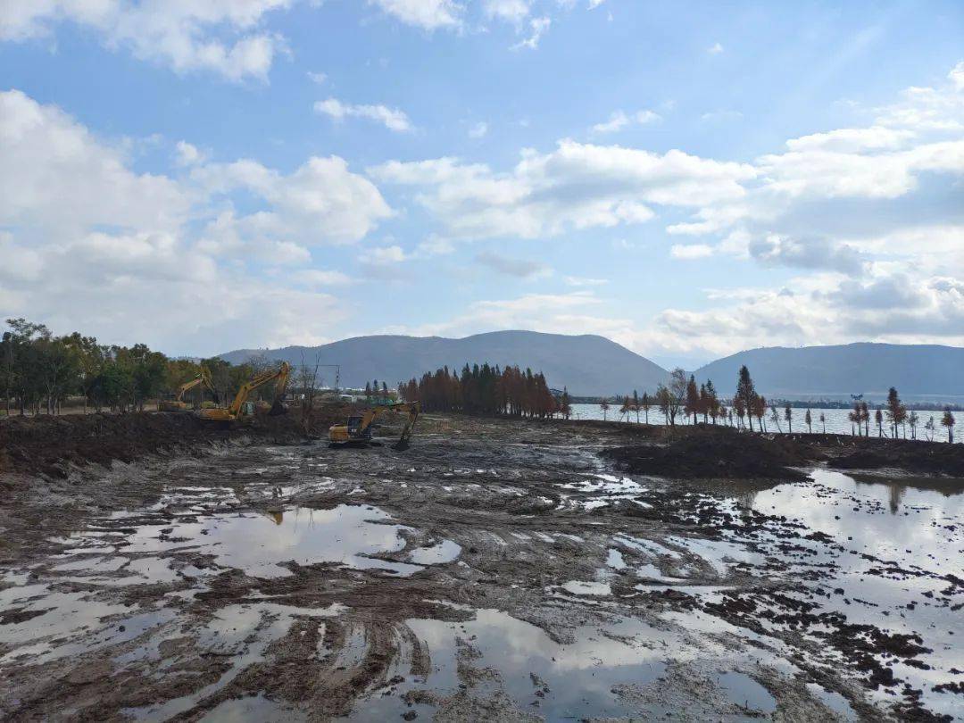 星云湖湖滨湿地清淤 共享绿色生态空间