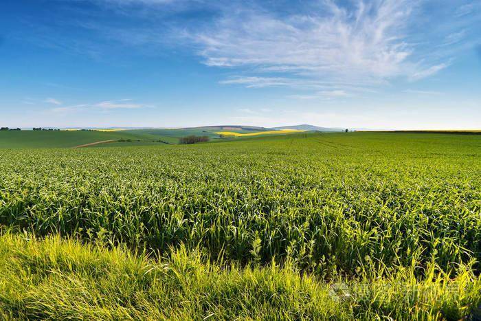 科普| 什么是农田碳汇?_土壤_管理_我国