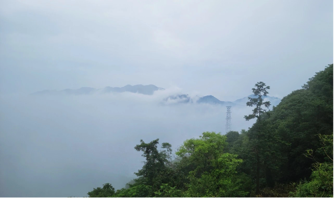 奉化尚田東南有一座高山,常年草木蒼翠,雲霧繚繞,此山名為梅山,相傳