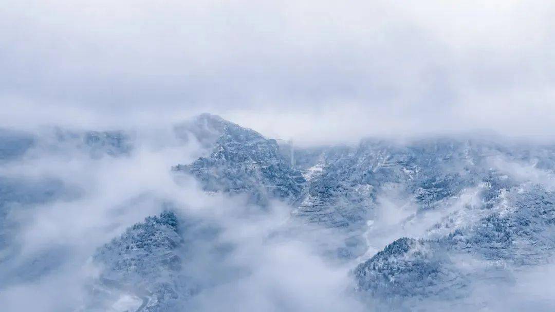 錦繡中華 | 2024年第一場雪抵達山東,美!_雪花_銀裝