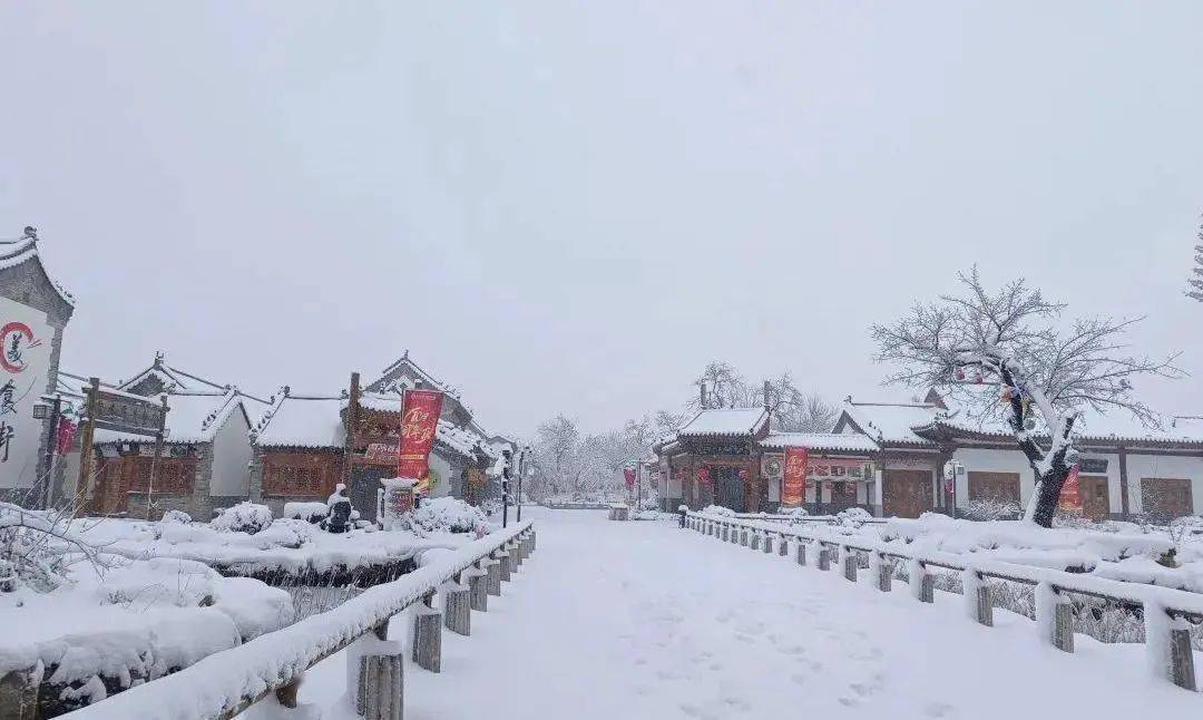 錦繡中華 | 2024年第一場雪抵達山東,美!_雪花_銀裝