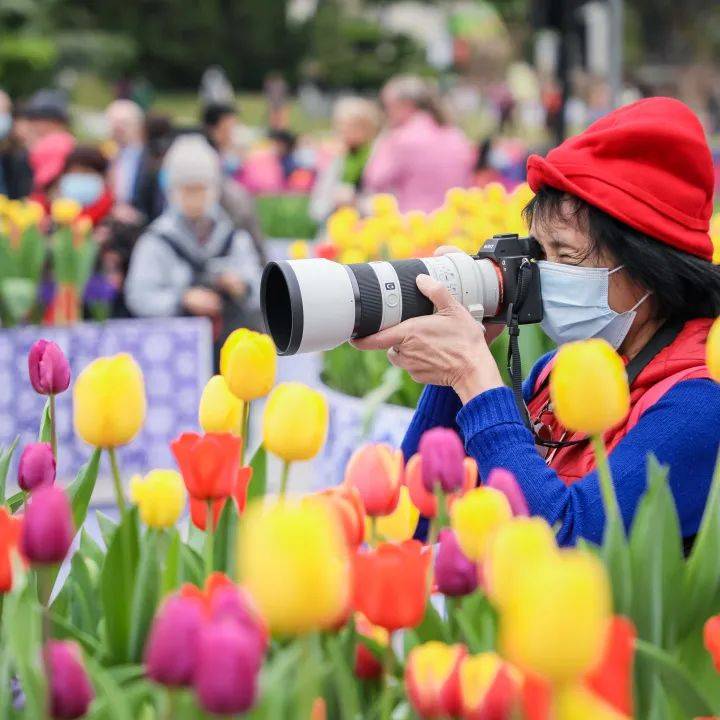 春節花海city walk,廣州你是懂浪漫的_遊園_活動_內容