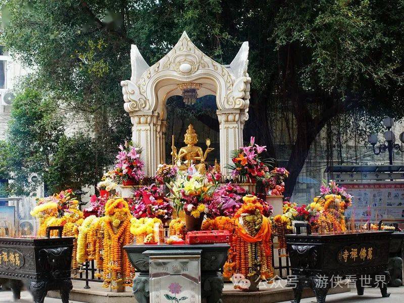 梧桐绿道始于东湖二路,可以顺路去东湖公园拜拜四面佛,万佛禅寺还在