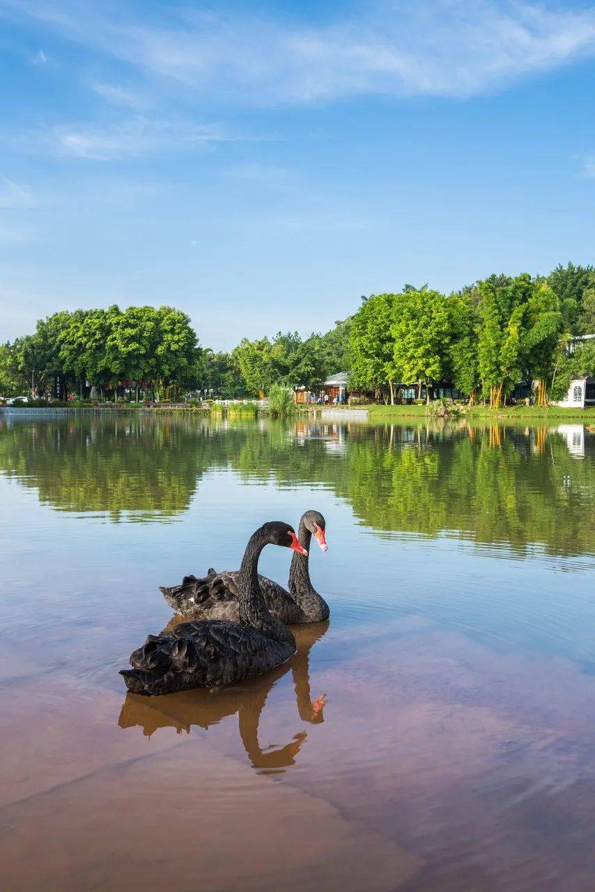这里还隐藏着湖泉半山温泉,被誉为"最原生态温泉".