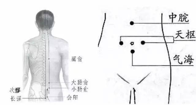 我們找到穴位之後,就要開始刮痧了,先刮背部的大腸俞和小腸俞,大家