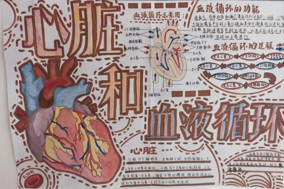 逐梦实干,岁月如歌丨南海实验初中2023年十件大事揭晓!