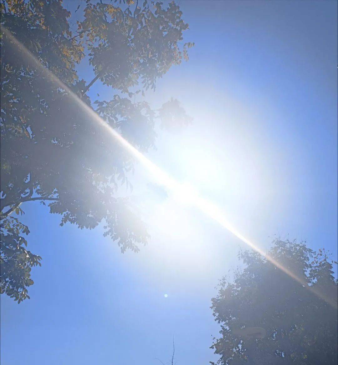 万物更生彩虹微笑 云卷云舒雨过天晴 晴空万里晴快来和栗子一起探索安