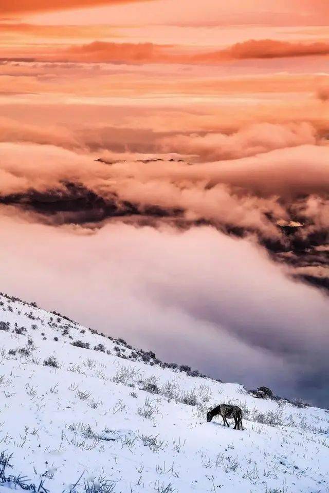 雪景不如人美图片