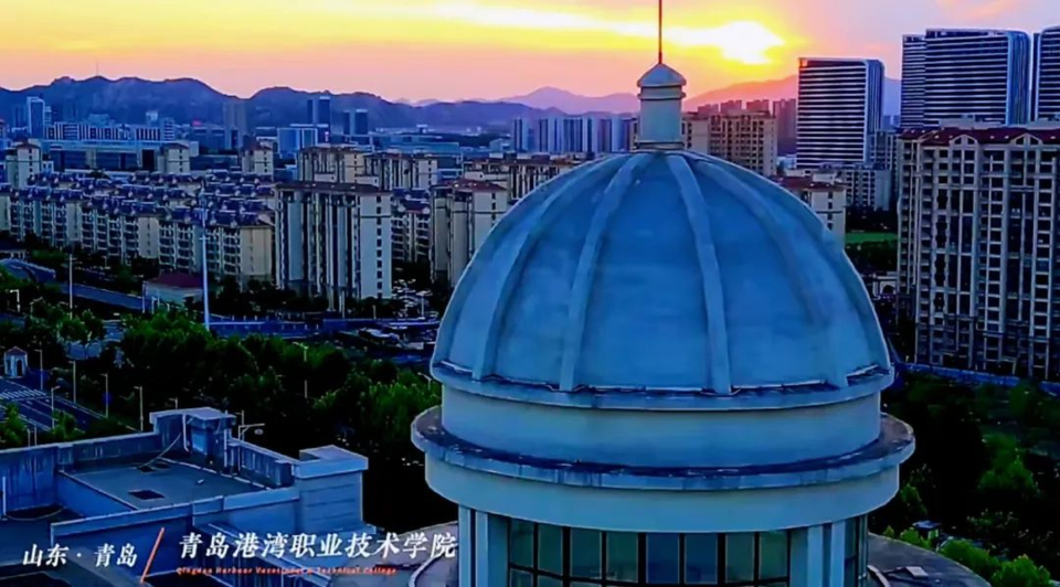 青岛港湾职业技术学院2024年单独考试和综合评价招生计划发布_映山红
